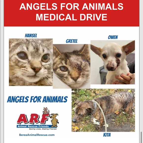 15% of my sales go to: Berea Animal Rescue & Angels for Animals Medical Fund 🐾 - Picture 12 of 17